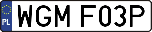 WGMF03P