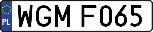 WGMF065