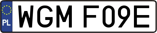 WGMF09E