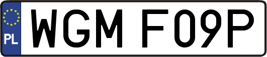 WGMF09P