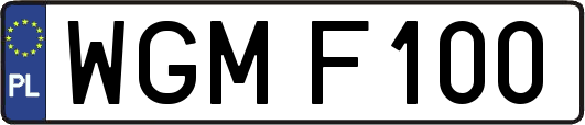 WGMF100