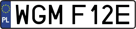 WGMF12E