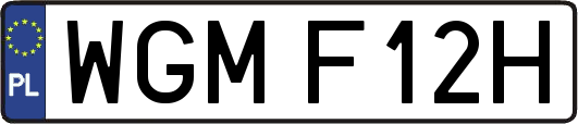WGMF12H