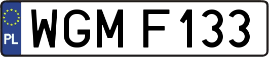 WGMF133