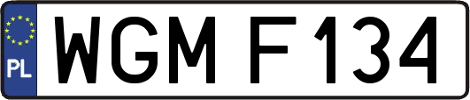 WGMF134