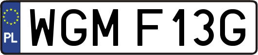 WGMF13G