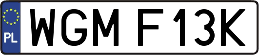 WGMF13K