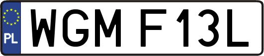 WGMF13L