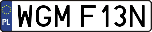 WGMF13N