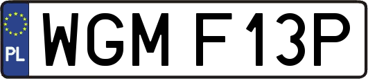 WGMF13P