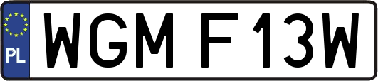 WGMF13W