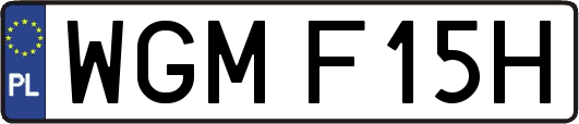 WGMF15H