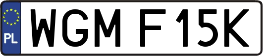 WGMF15K