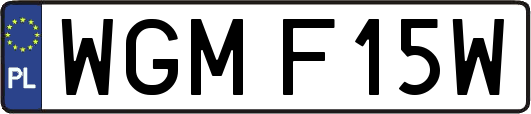 WGMF15W