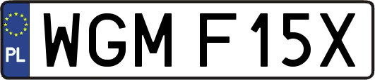 WGMF15X