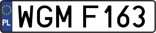 WGMF163