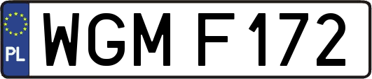 WGMF172