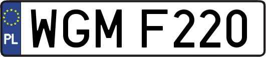 WGMF220
