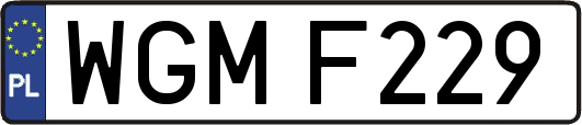 WGMF229