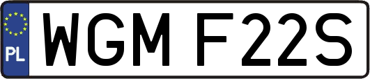 WGMF22S