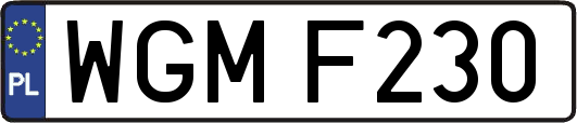 WGMF230
