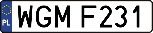 WGMF231