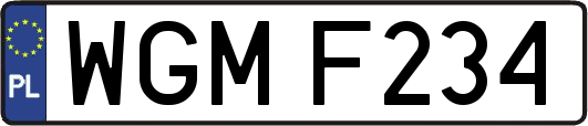 WGMF234