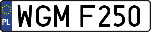 WGMF250