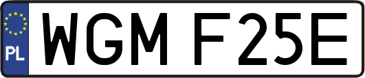 WGMF25E