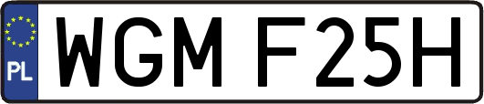 WGMF25H