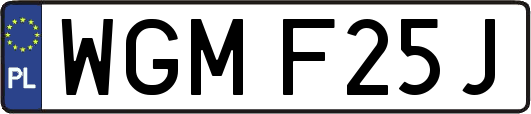 WGMF25J