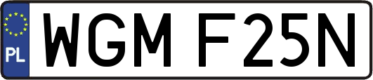 WGMF25N
