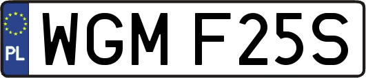 WGMF25S