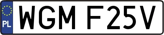 WGMF25V