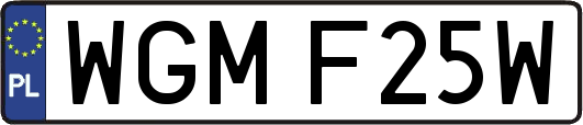 WGMF25W