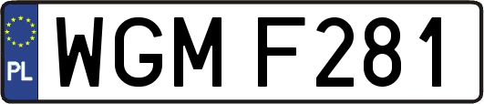 WGMF281
