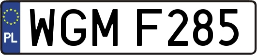 WGMF285