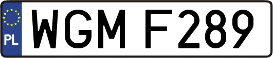 WGMF289