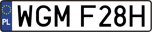 WGMF28H