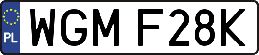 WGMF28K