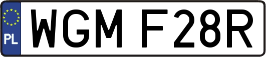 WGMF28R