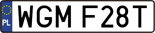 WGMF28T