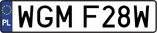 WGMF28W