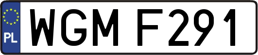 WGMF291