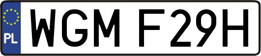 WGMF29H