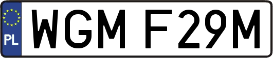 WGMF29M