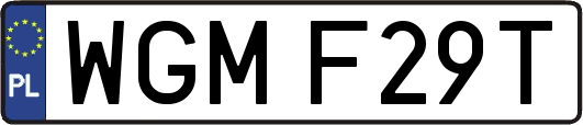WGMF29T
