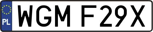 WGMF29X