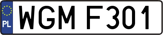 WGMF301