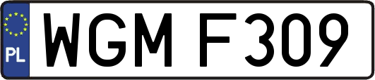 WGMF309